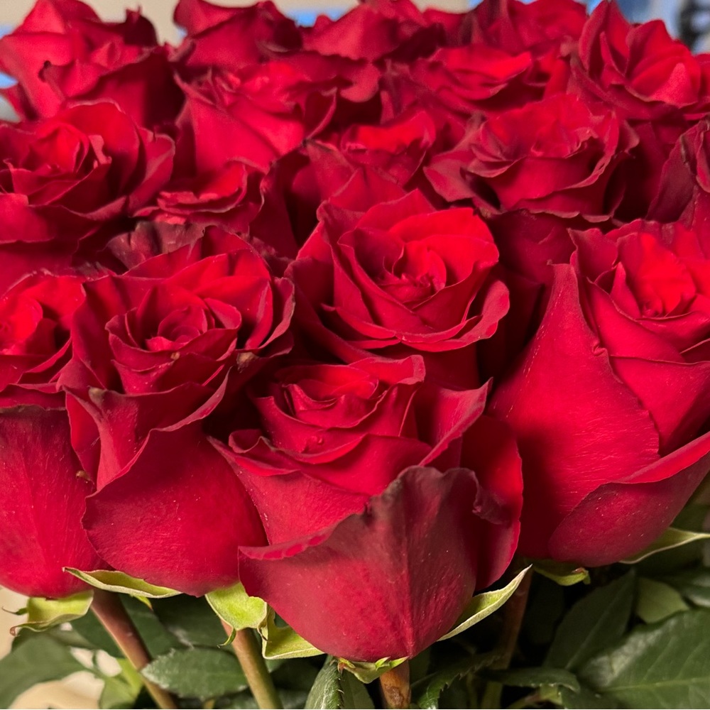 Meet your Posher, Naiyra